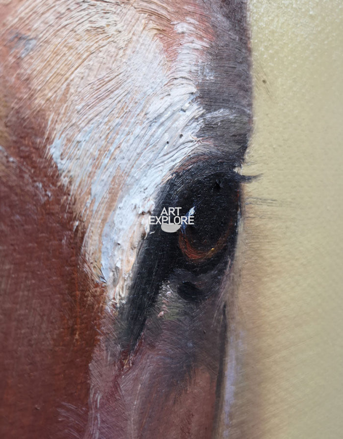 Large Horse Canvas Art Custom Horse Paintings Equine Art For Sale