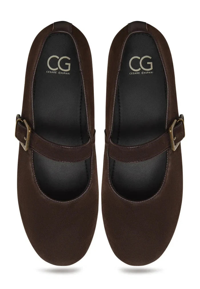 A stylish pair of brown Mary Jane flats for trendsetting women fashionistas.