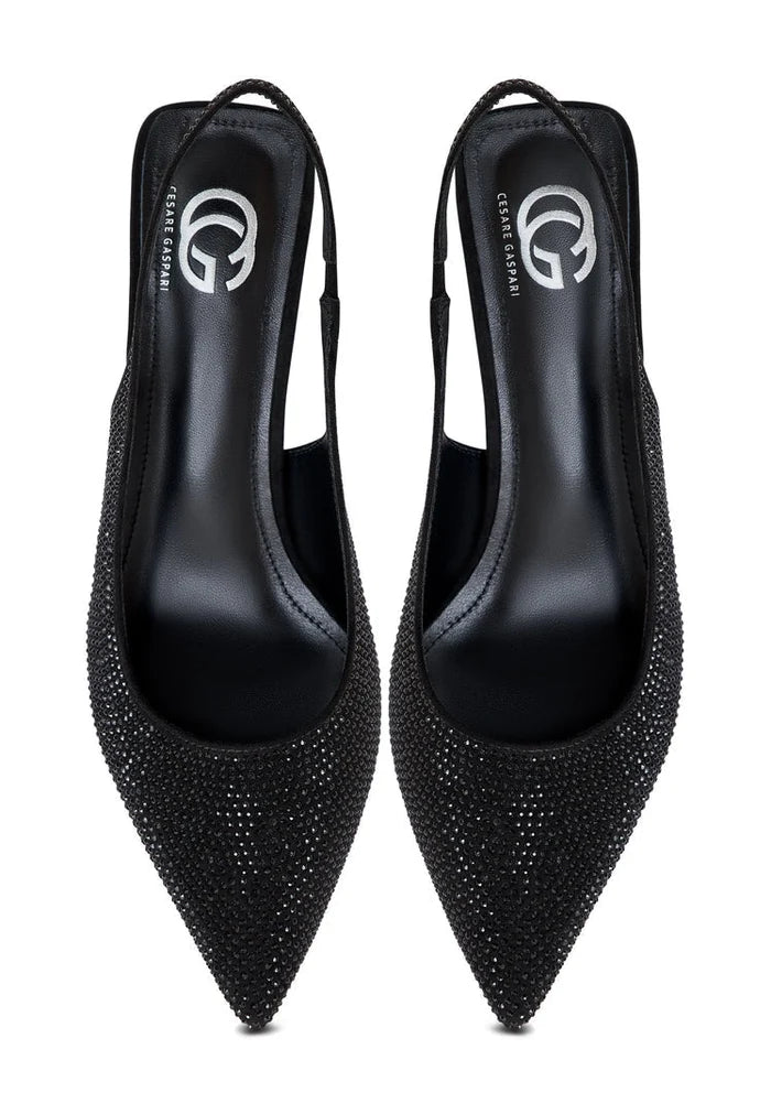 A chic pair of black stiletto pumps, perfect for any occasion for women who love high heeled shoes.