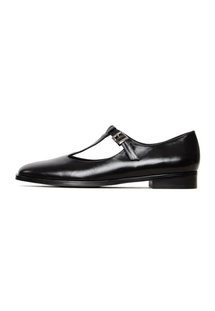 A pair of vintage charm T-strap flats, perfect for those in search of retro shoes and vintage-inspired footwear with antique style details.